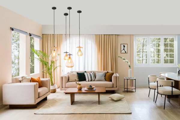 Living room interior design India