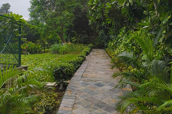 Garden landscaping services India