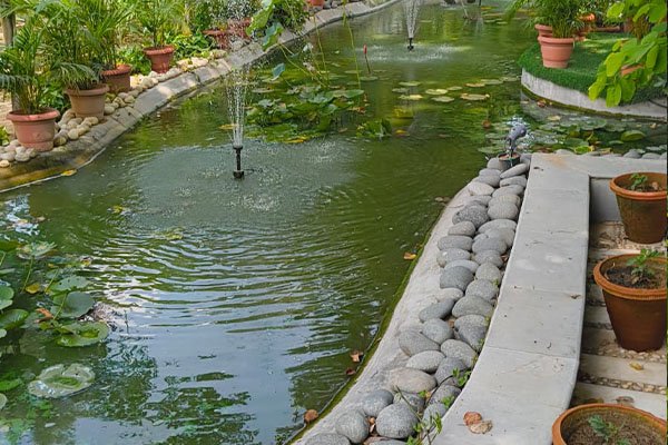 Lawn installation services India