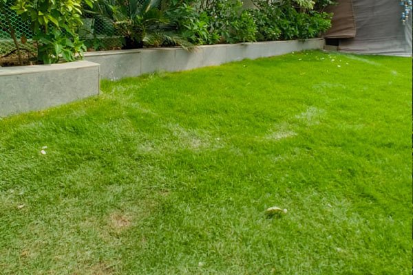 Outdoor garden development India