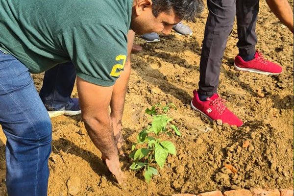 Terrace landscaping services India