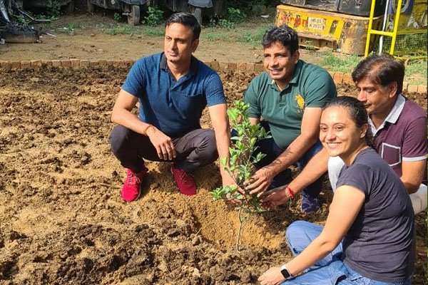 Urban terrace garden solutions India