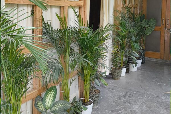 Lawn care and garden upkeep India