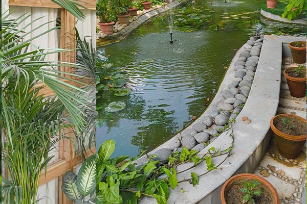 Professional garden care services India