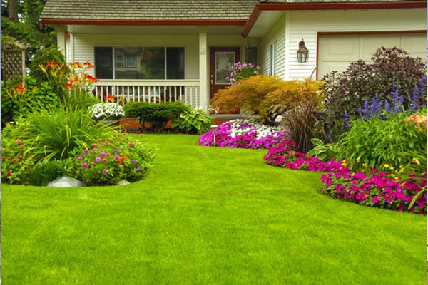 Professional turf installation India