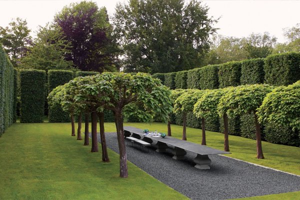 Complete lawn maintenance services India