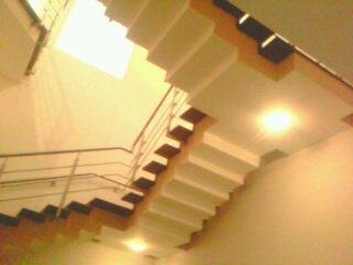 Outdoor Garden Landscape Design